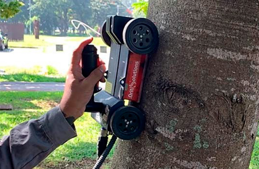 img_radar_penetrante_ex